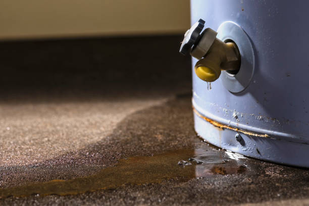 Best Water damage restoration cost  in Monee, IL