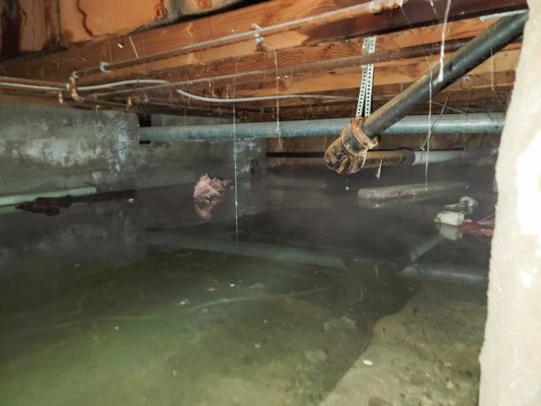 Best Flooded house restoration  in Monee, IL