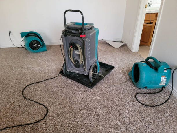 Best Sewage cleanup and water damage restoration  in Monee, IL