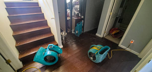 Best Water damage restoration near me  in Monee, IL