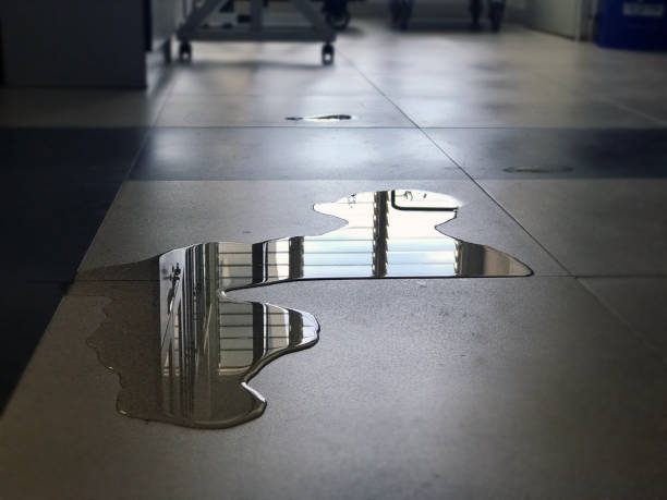 Best 24/7 water damage repair  in Monee, IL