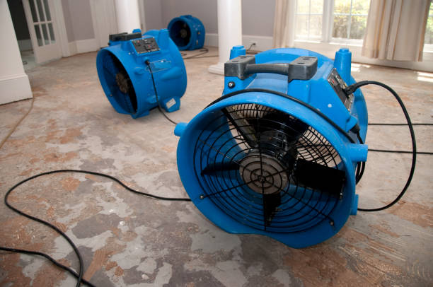 Best Water damage restoration near me  in Monee, IL