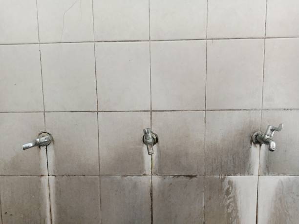Carpet water damage restoration in Monee, IL