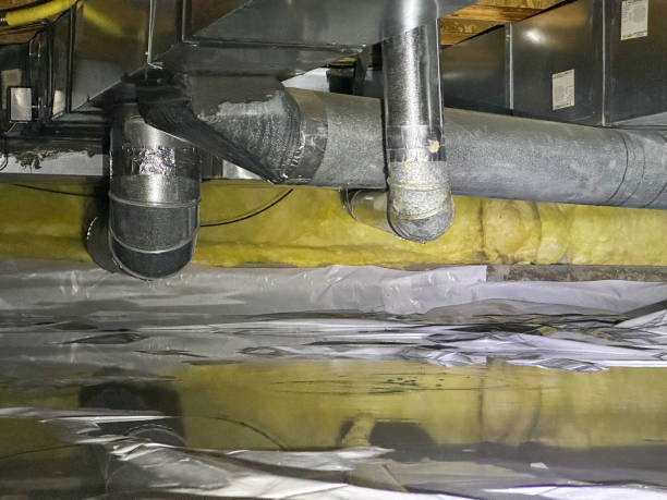 Best Basement water damage restoration  in Monee, IL