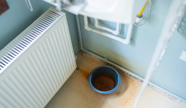 Best Professional water damage repair  in Monee, IL