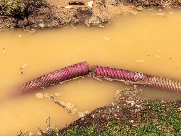 Best Water damage cleanup near me  in Monee, IL