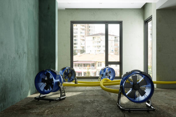 Best Fire Damage Restoration  in Monee, IL