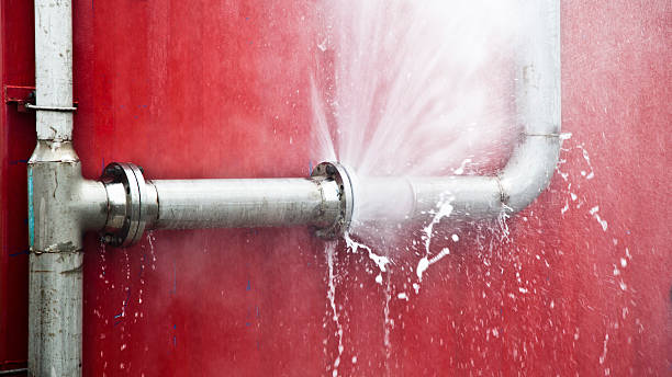 Best Carpet water damage restoration  in Monee, IL
